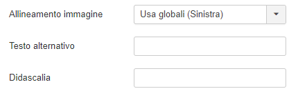 testo alternativo e didascalia